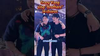 大小杨哥首次合体献唱《兄弟》| Big and Little Brother Yang sing "Brothers" together for the first time #小杨哥