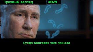 Супер-бактерия уже пришла