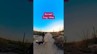 Sunset Dog Hike #countrymusic #hikingwithdog #sunset #dogs #nature #desert #explorearizona #outdoors