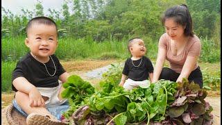 HIEN single mom: Harvesting vegetable go to market sell - Cooking meat stuffed gourd