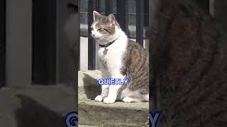 Codename for when Larry the Cat dies as Downing Street draws up plans on how to announce death