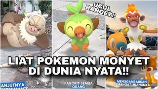 MAIN SAMA POKEMON MONYET !! 