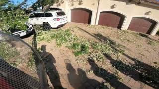 Cleaning up after the Virginia Beach tornado