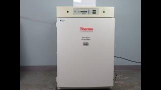 Thermo Steri Cycle CO2 Incubator