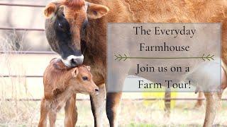 The Everyday Farmhouse--Farm Tour