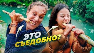 Как Едят Тростник в Китае АВТОДОМ #9