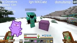 Rating Bases and Dueling Viewers on Donut SMP!