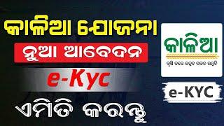 Kalia Yojana eKYC Process | Kalia Yojana New Apply Online | Kalia Yojana Grievance Online (Odia)