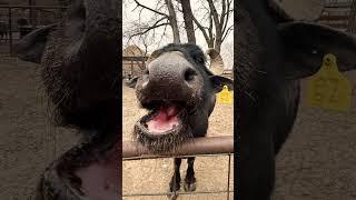 Leaked Camera Roll | Sedgwick County Zoo