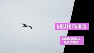 A BEAT OF WINGS - Andrea Torello feat. Sciaka (Official Video)