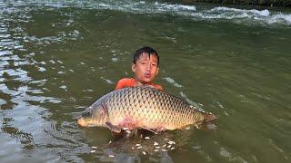 Fishing boy khai, harvesting 15kg carp, ancient fishing skills-