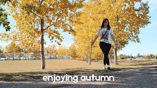 enjoying all of AUTUMN!  exploring new places & a library haul