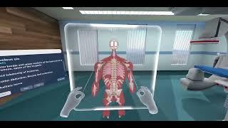 Virtual Reality Anatomy Training!