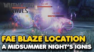 Wuthering Waves 2.0 - Fae Blaze Location (A Midsummer Night's Ignis Trophy)