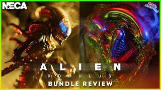 Is This NECA’s Best ALIEN Figure Yet? Scorched Xenomorph & Accessory Pack Review