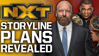 Triple H Reveals NXT's Storyline Strategy For Remainder Of 2020