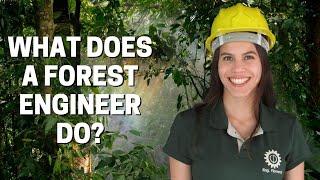 FOREST ENGINEERING in Brazil