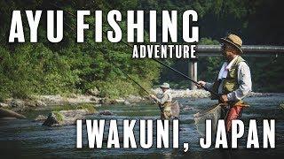 Japanese Ayu River Fishing!