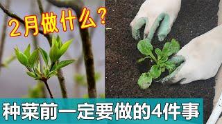 要想全年丰收, 2月种菜前必做的4件事 Do these in February for a whole year harvest