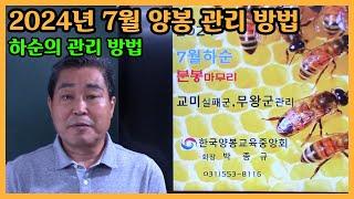 7월 하순, 성공적인 월동을 위해 해야 할 일들