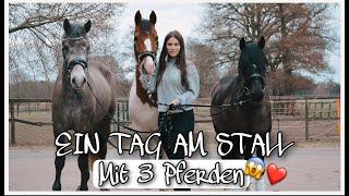 EIN TAG AM STALL MIT 3 PFERDEN !️ + FAIL // ASKINO