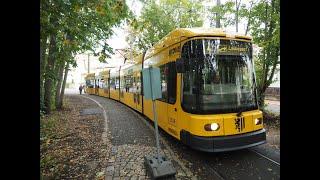 Dresden Trams - October 2019