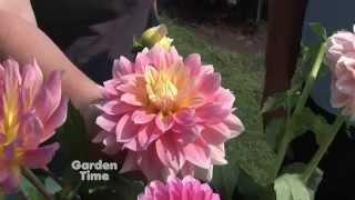 Garden Time show 26  8-29-15