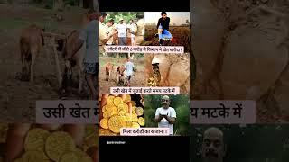 naukari sw khet khareeda kissn ne 6crod me #shorts #viral
