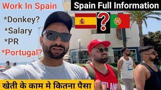 Ground Reality Of Spain | मजदूरी & खेती करने में कितना पैसा है | Why Spain (हिन्दी में)