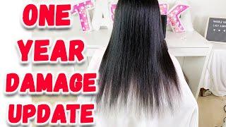 Watch Me RevAir, Silk Press and Trim. Severly Damaged Hair Growth Update!