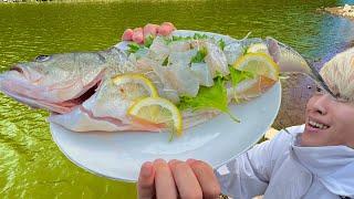 Sashimi Eating Bass From Dirty Pond