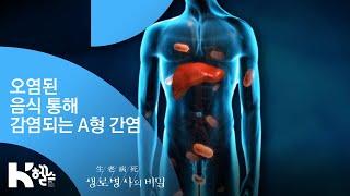 [생로병사의 비밀] - 오염된 음식 통해 감염되는 A형 간염