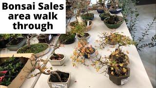 Bonsai Sales area walkthrough at the Bonsai Northwest Melbourne Exhibition