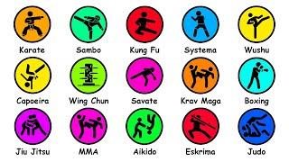 Every Martial Art Type Explained in 12 Minutes