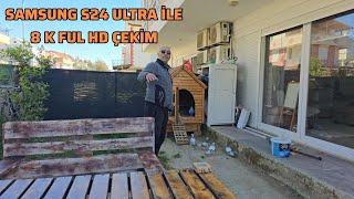 Evin Bahçedeki Güvercin Kümesi Evden Güzel, 8K Ful HD Çekim