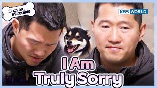 Trainer Kang Apologizes [Dogs Are Incredible : EP.209-3] | KBS WORLD TV 240305