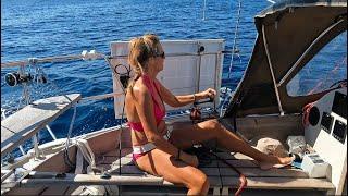 Solo Sailing to New Zealand Part 3 - Ep. 209