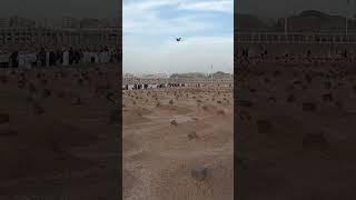 Jannat Al Baqi - Jannat Ul Baqi #jannat #jannatulbaqi #jannatulbaqintv #jannatulbaqichannel #sacred