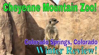 Cheyenne Mountain Zoo Winter Review in Colorado Springs, Colorado! #coloradozoo #zoo #roadtrip