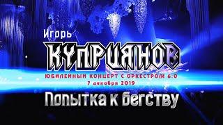 Игорь Куприянов – Попытка к бегству