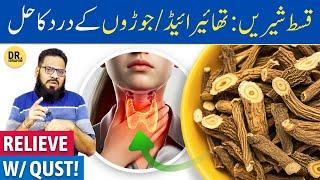 Qust-e-Shireen Ke Fayde/Istemal | Costus Root Benefits | Dr. Ibrahim