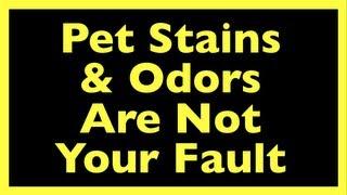 Pet Stain Remover Truth: Ex-Carpet Cleaner Comes Clean About Pet Stain & Odor Removal