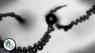 The World's Smallest Robots: Rise of the Nanomachines