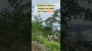 Участок в Сочи с видом на море за 7 млн