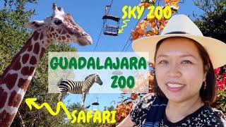 Guadalajara Zoo (Zoologico Guadalajara) | Amazing Sky Zoo & Safari | Ep. 123