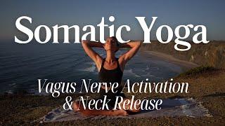 Seated somatic yoga for vagus nerve activation | neck & shoulder  relief | 9 minutes | music only