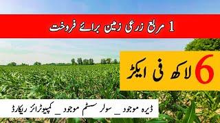 Agriculture land for sale in Punjab Pakistan | land for sale in Punjab Pakistan