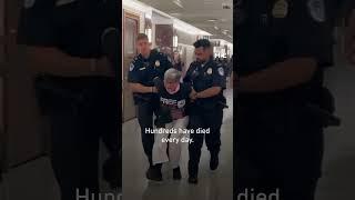 Pro-Palestine activists disrupt Marco Rubio hearing