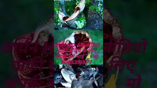 RN, HD 4K Video Graphy Booking K liye sampark karo bhai  #photoshare