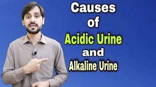 Causes of Acidic And Alkaline pH of Urine